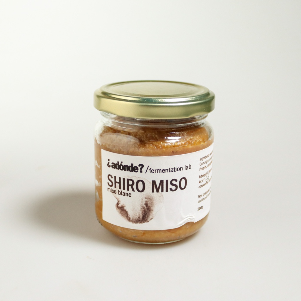 [G037] Miso blanc par Adónde fermentation lab
