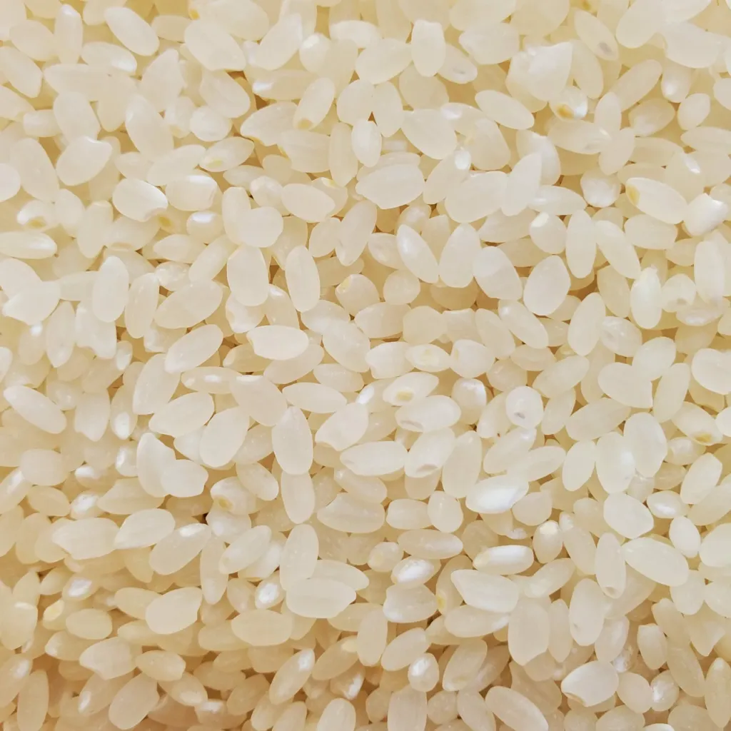 [A062] Rice Koshihikari from Ishikawa (10kg bag)