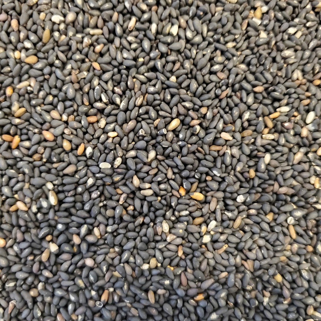 [V011a] Sésame noir torréfié en vrac (100g)