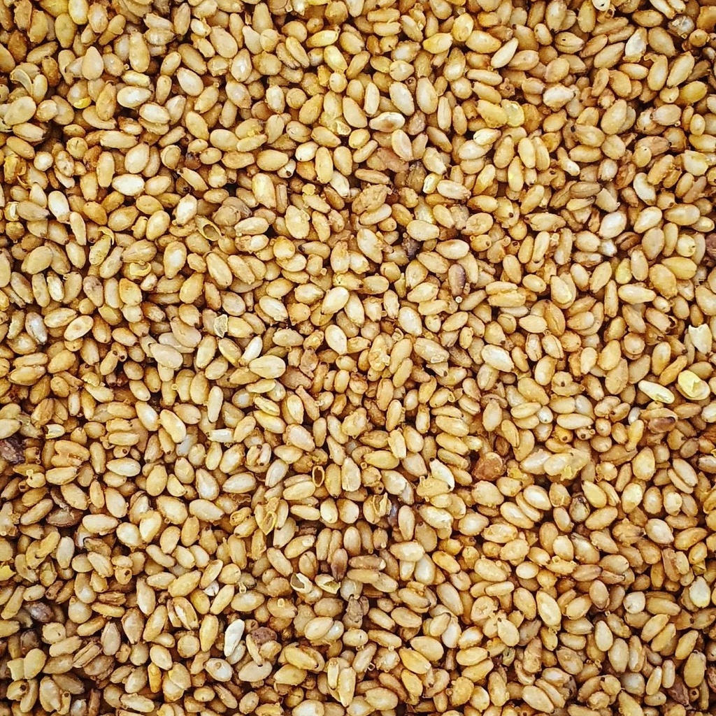 [V004a] Sésame torréfié au yuzu en vrac (100g)